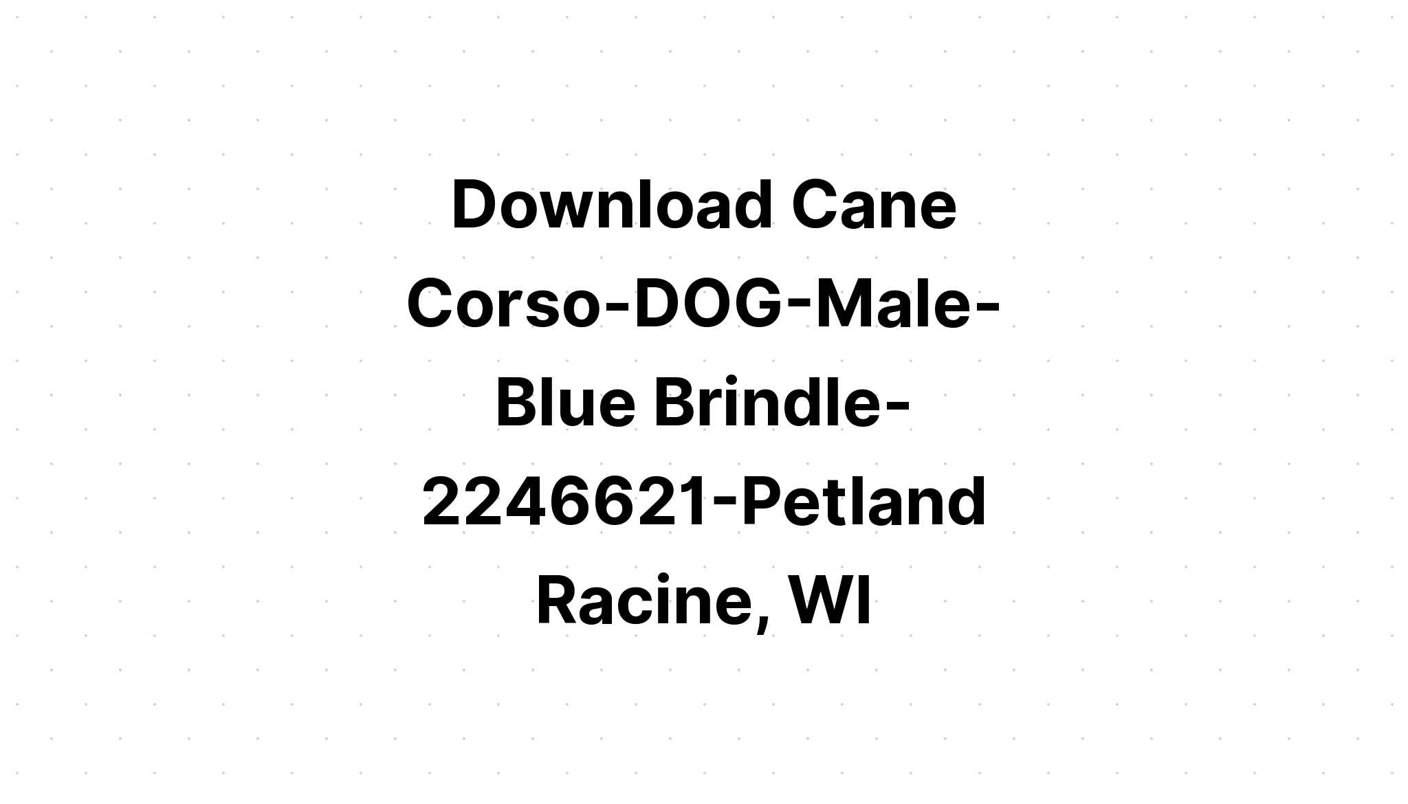 Download Cane Corso Dog Mandala SVG File